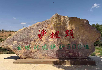 沙坡头第 167 张图片