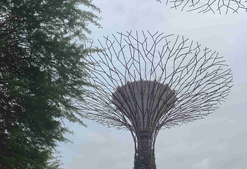 新加坡滨海湾花园第 299 张图片