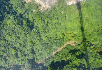 张家界大峡谷第 113 张图片