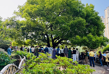中山公园第 50 张图片