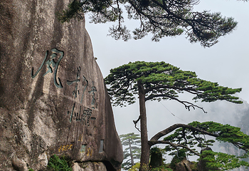 黄山风景区第 98 张图片