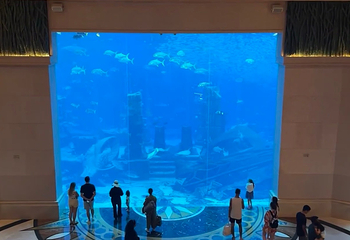 迪拜亚特兰蒂斯度假区第 80 张图片
