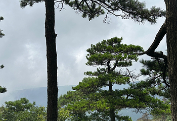 庐山风景名胜区第 335 张图片