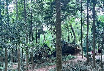 青城山第 309 张图片