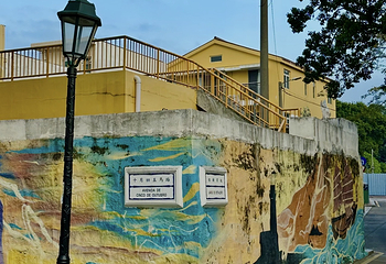 路环岛第 47 张图片