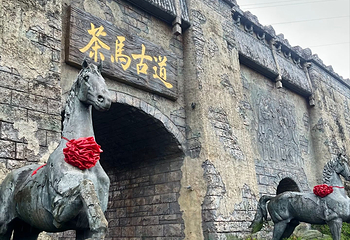 普洱茶马古道遗址公园第 113 张图片