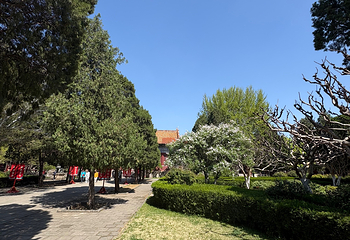 泰山风景区第 382 张图片