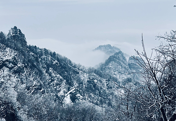 武当山风景区第 245 张图片