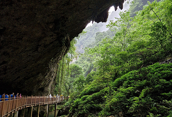 张家界大峡谷第 112 张图片