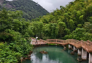 莫干山江南瑶坞旅游度假区第 64 张图片