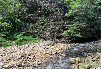 张家界大峡谷第 146 张图片