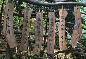 天目湖山水园第 84 张图片