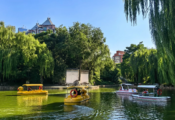 团结湖公园第 72 张图片