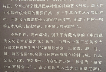 青海藏文化博物院第 215 张图片