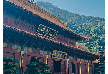 仙湖植物园第 44 张图片