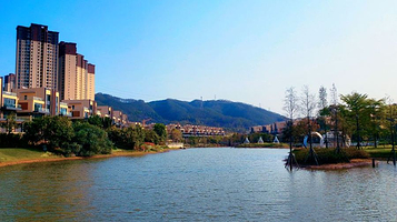 碧桂园润杨溪谷水杉湿地公园