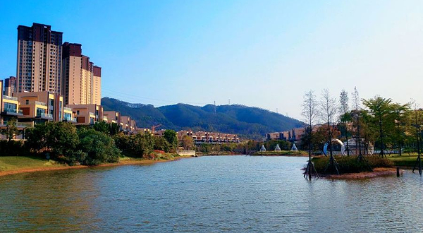 碧桂园润杨溪谷水杉湿地公园