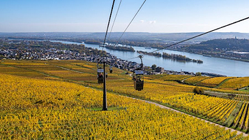 Rüdesheimer Seilbahn Bergstation Niederwald