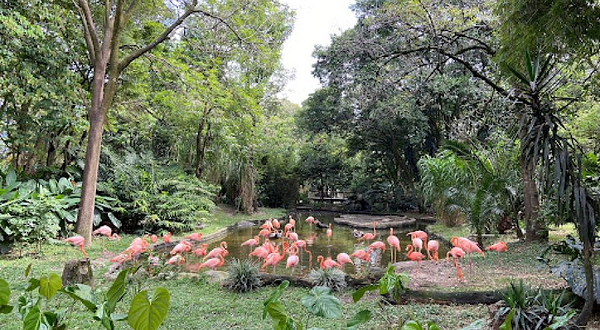 Parque de la Conservación