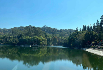 厦门园林植物园第 70 张图片