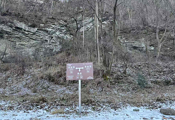 武当山风景区第 269 张图片