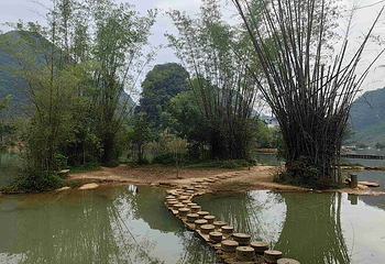 鹅泉第 46 张图片