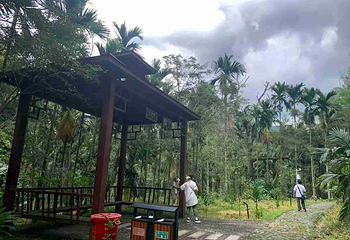 五指山水满河热带雨林风景区第 22 张图片