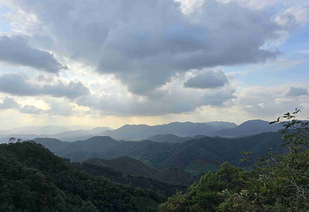 西湖风景名胜区第 266 张图片