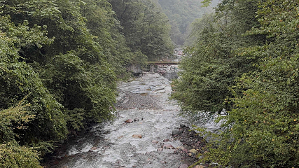黑竹沟风景名胜区第 23 张图片