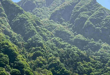 翠华山·秦岭终南山世界地质公园第 92 张图片