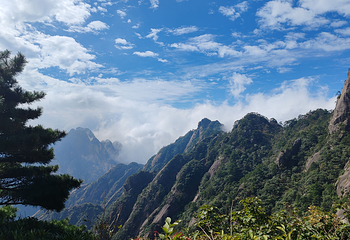 黄山风景区第 63 张图片