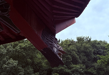 新昌大佛寺景区第 98 张图片