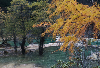 黄龙风景名胜区第 140 张图片