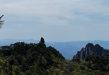 黄山风景区第 278 张图片