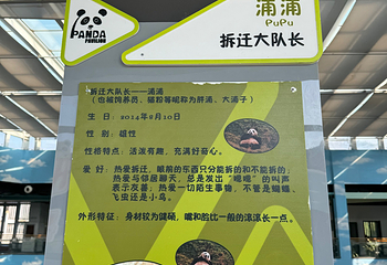 沈阳森林动物园第 26 张图片