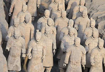 秦始皇帝陵博物院(兵马俑)第 422 张图片