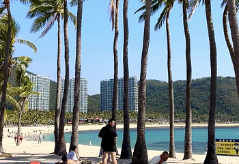 小东海第 75 张图片