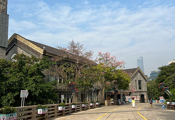 深圳欢乐海岸第 31 张图片