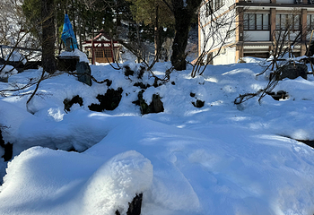 GALA汤泽滑雪场第 27 张图片