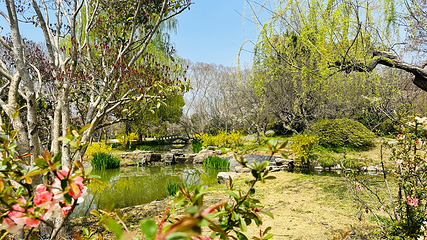 钟山风景名胜区第 91 张图片
