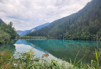 九寨沟风景区第 325 张图片