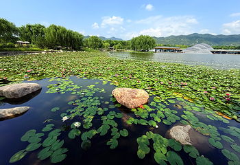 太原植物园第 46 张图片