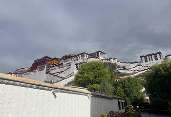 布达拉宫第 149 张图片