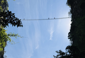 尼珠河大峡谷第 28 张图片