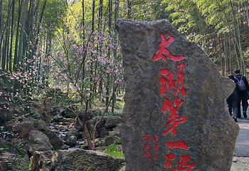 宜兴竹海风景区第 32 张图片