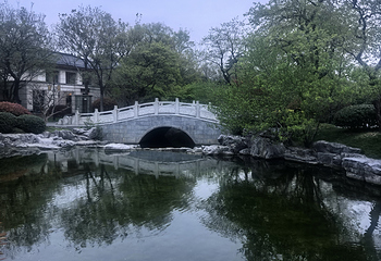 瘦西湖第 322 张图片