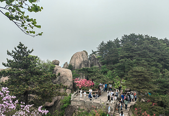 九华山风景区第 46 张图片