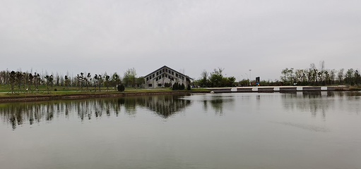 丹顶鹤湿地生态旅游区第 40 张图片