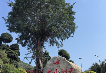 大小洞天第 131 张图片