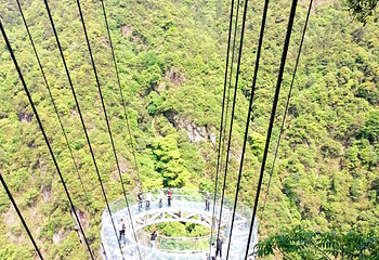 牛头山国家森林公园第 33 张图片